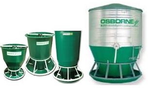 The Best Pig Feeder Designs for Small-Scale Farmers