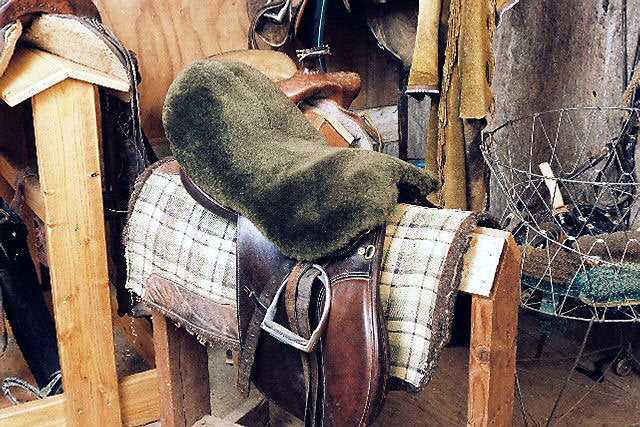 Sheepskin Dressage and English Saddle Seat Cover