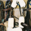 Bridle Cover - Poll Strap