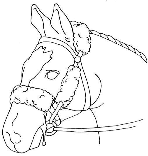 Bridle Cover Set