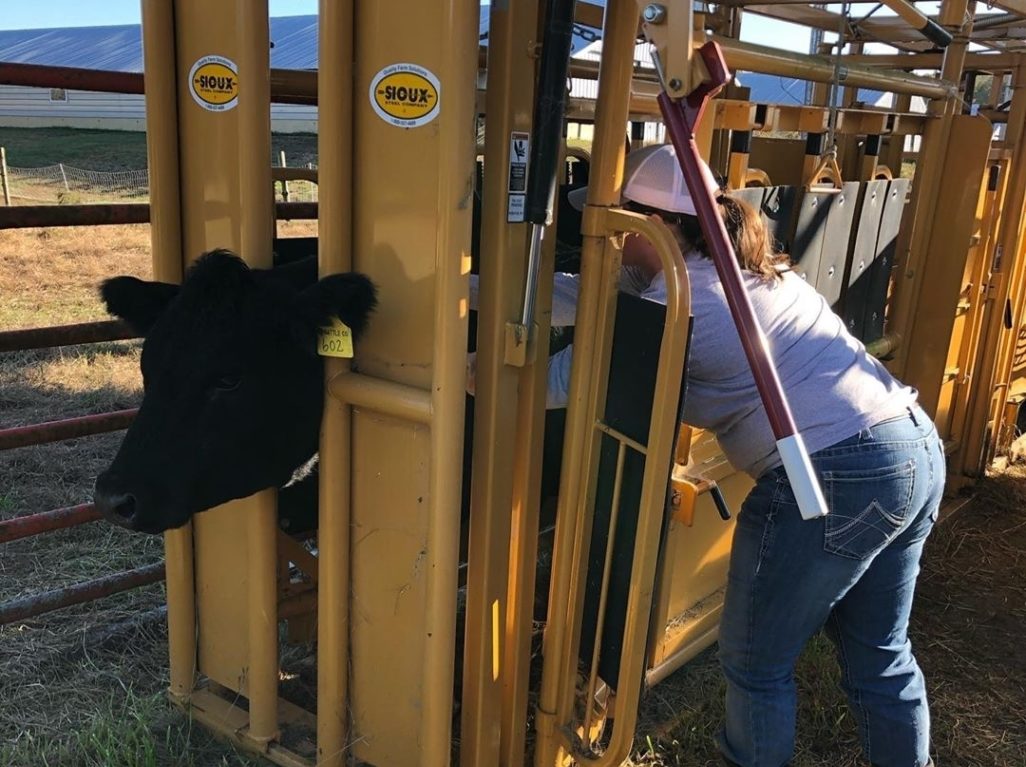 Squeeze Chute - Rubber Floor