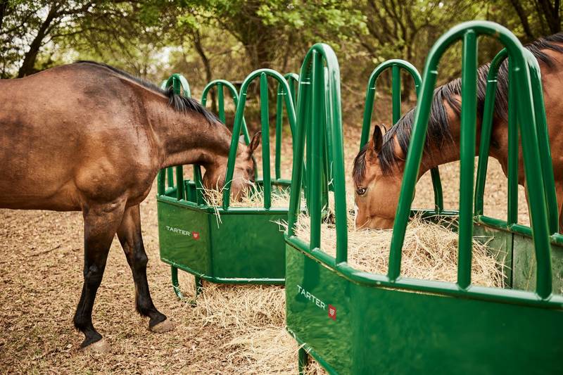 Equine Flex Horse Hay Feeder