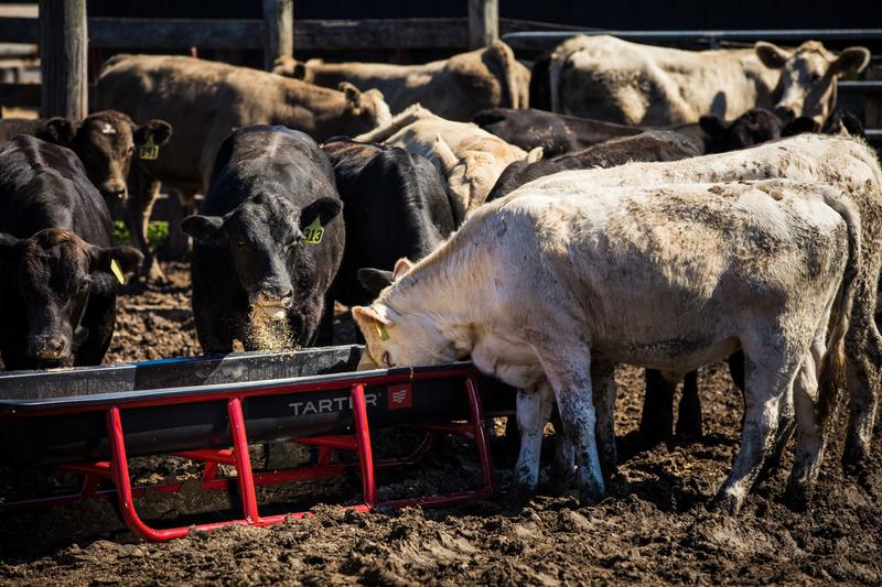 Feed Trough Liner - 10'