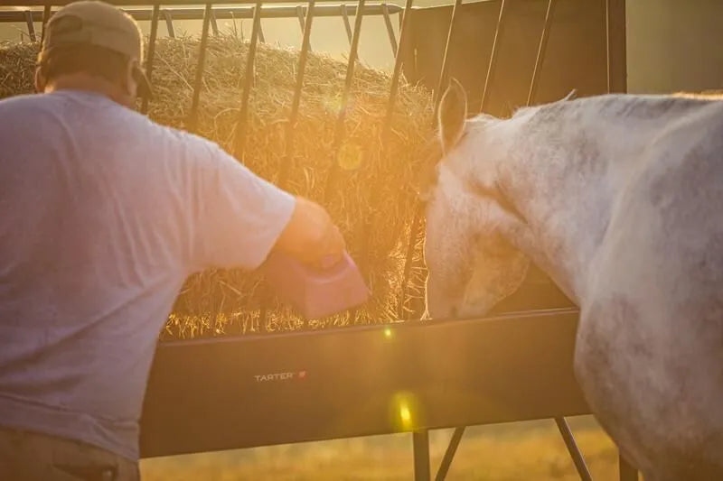 Paddock Hay Feeder for Horses - Tarter