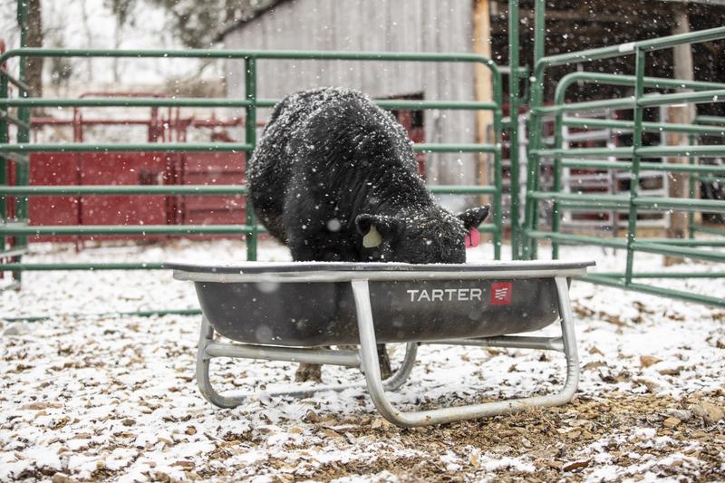 Cattle Bunk Feeder - Poly Tub - 5'