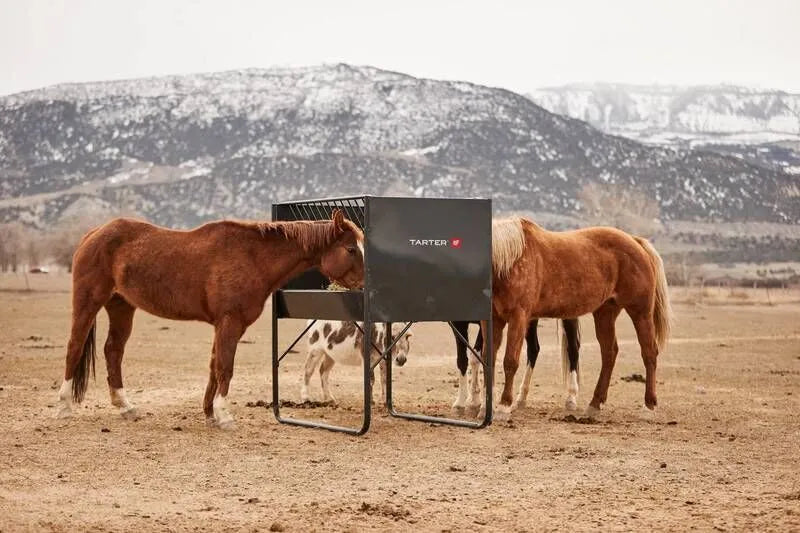 Paddock Hay Feeder for Horses - Tarter