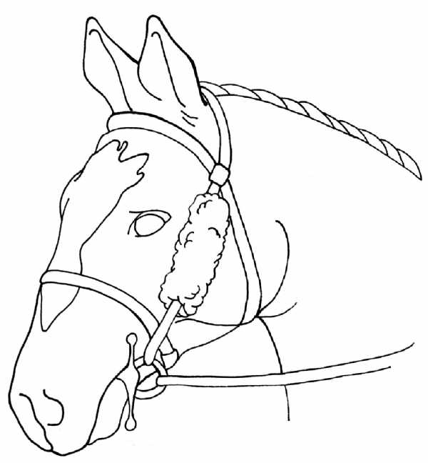 Bridle Cover - Cheek Strap