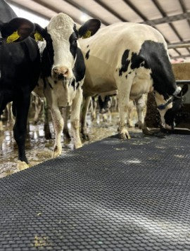 Diary Cattle Mat Kit 100' x 35"