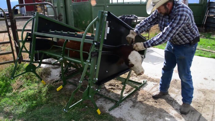 Calf Table - Deluxe Powder River