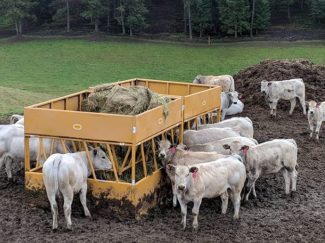 Hay Max Square Feeder with Hay Cradle