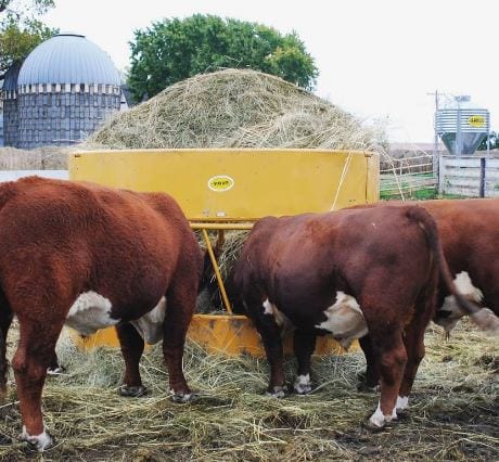 Hay Max Round Bale Feeder for Cattle