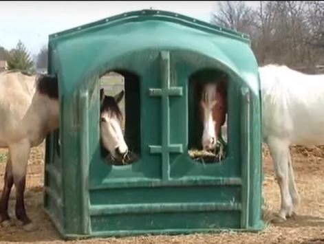 Covered Hay Feeder for Horses