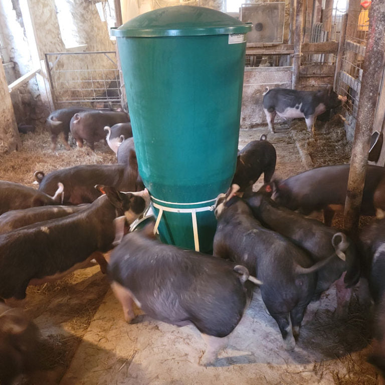Finishing Pig Feeder - 785 lb capacity