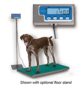 Floor Scale - 500 pound capacity