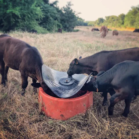 Mineral Feeder Flap Kit
