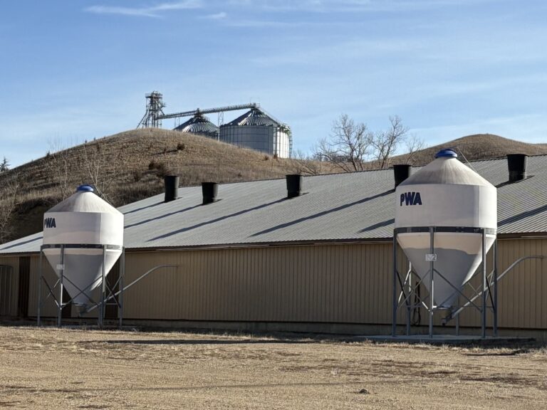 Poly Grain Bins - PWA