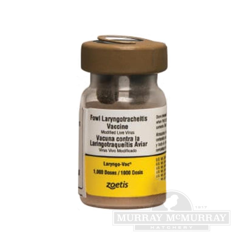 Laryngotracheitis Vaccine