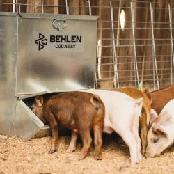 EZ Pig Feeders