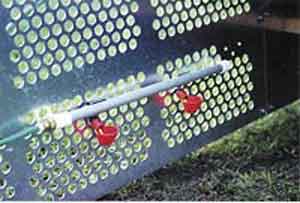 Poultry Cup Waterer
