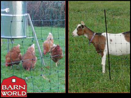 Poultry / Goat Net - Posts Included