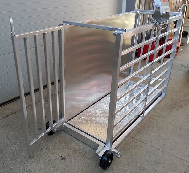 Sheep and Hog Scale System