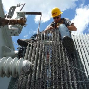 Bird Netting - 3/4" Sq - Std