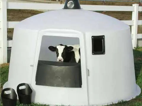 Calf Nursery - Round