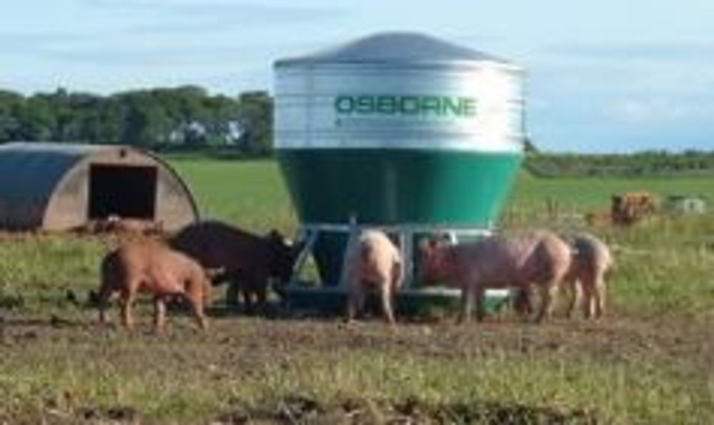 Hog Feeder - 45 bushel