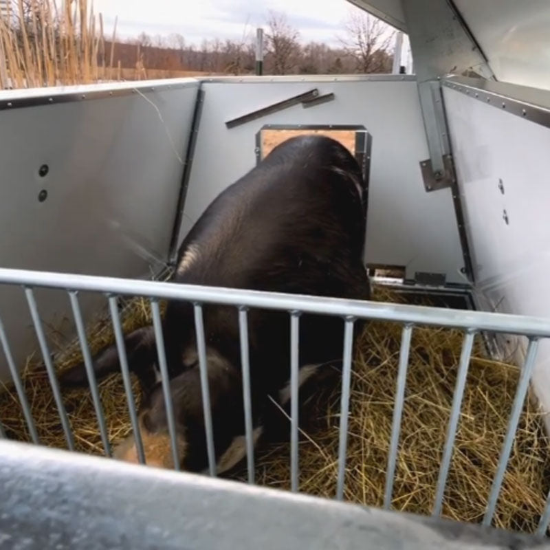 Hog Hut - Farrowing House