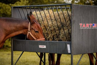 Paddock Hay Feeder for Horses - Tarter