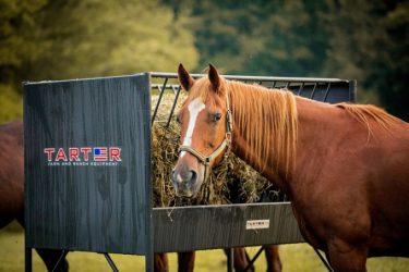 Paddock Hay Feeder for Horses - Tarter