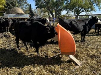 Mineral Feeder - Upright - Sioux Steel