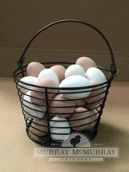 Egg Baskets