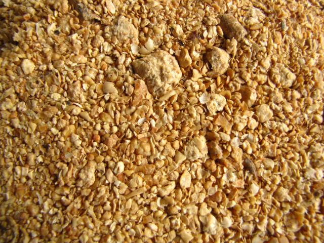 Organic Soybean Meal - Discontinued