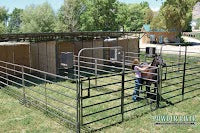 The Horse Shelter with Three Stalls - Unavailable