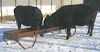Feed Bunk for Grain - 9" deep