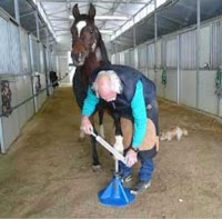 Hoof Stand Videos
