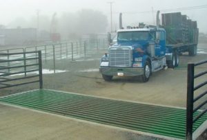 Planning a Cattle Guard Entrance: Visibility, Layout, and Fence Integration