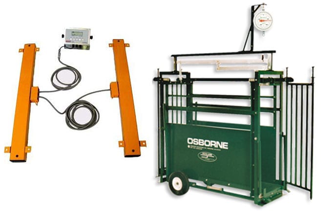 Weighing Livestock Matters on the Farm and Ranch