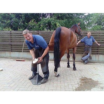 Making Hoof Care Easier: How a Hoof Stand Fits Into the Farrier's Work