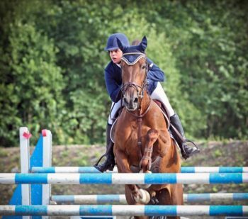 Essential Horse Supplies for a Functional Barn