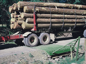 A heavy-duty cattle guard installed in a dirt road with a semi truck crossing over it.