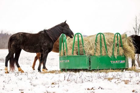 Horse Hay Feeders