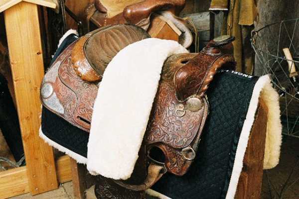 Sheepskin Saddle Pads