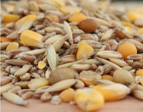 Bird Feed & Supplements