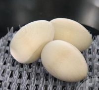Egg Equipment