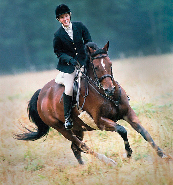 Horse Supplies