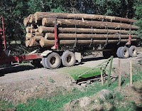 A log truck crossing over a heavy-duty cattle guard installed on a dirt road.