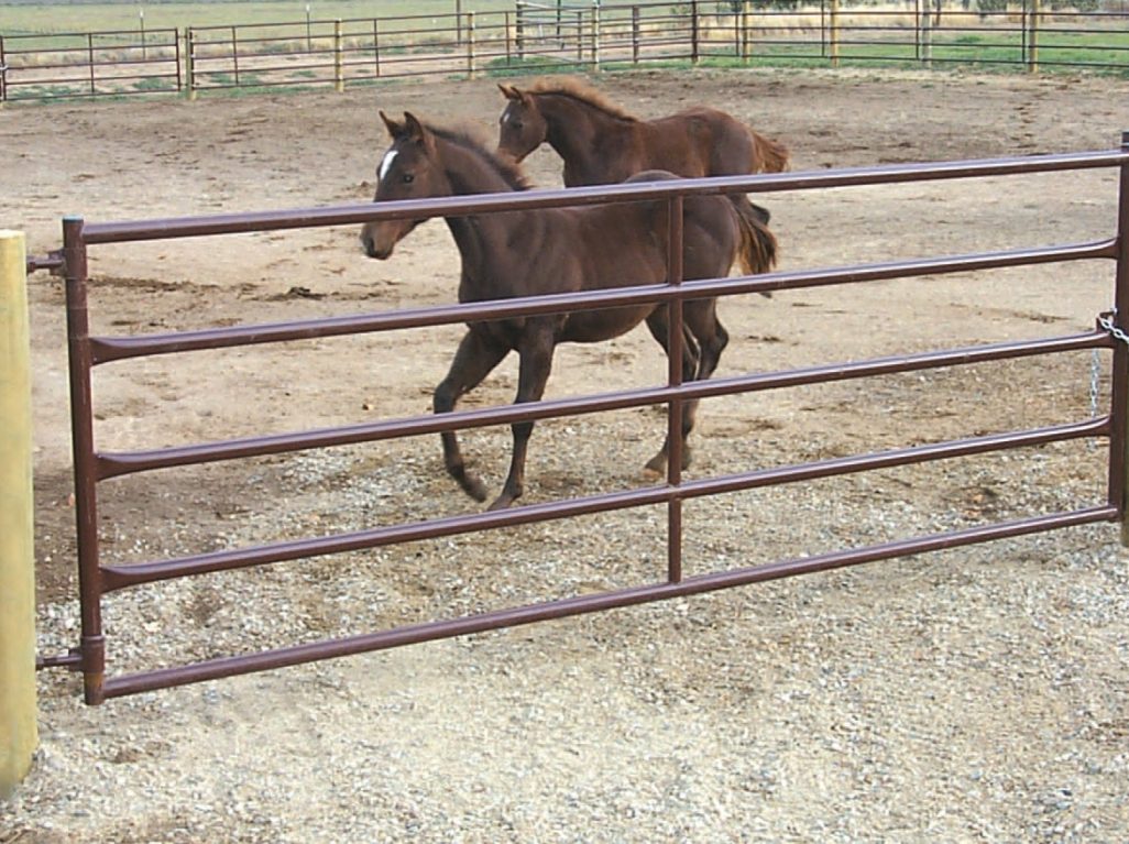 Gate Review