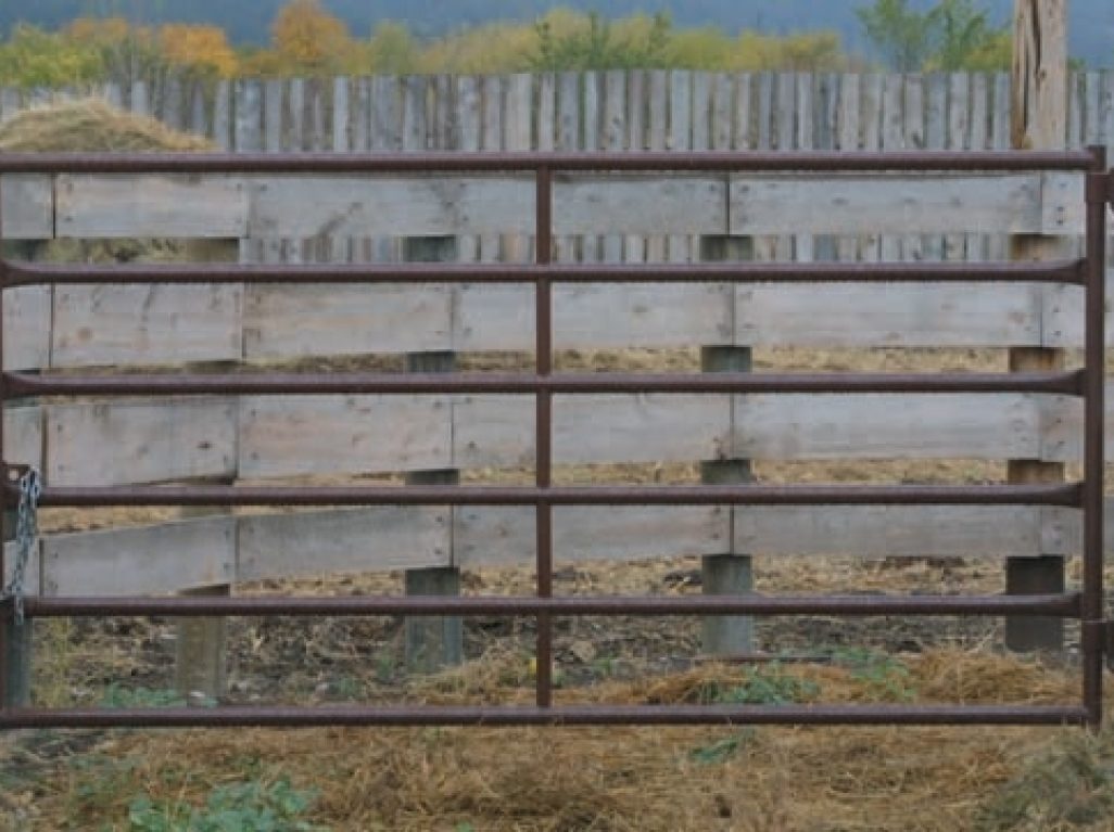 59" Tall Gate - 2"